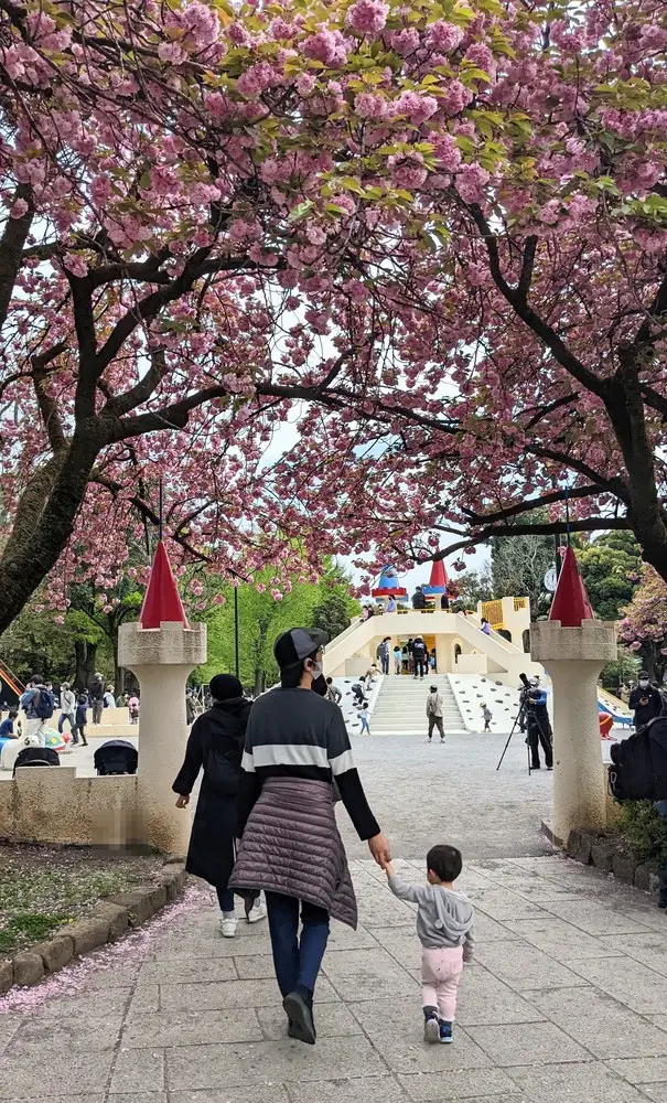 満開の八重桜の下、園路を歩く親子。奥に城のような形の入口