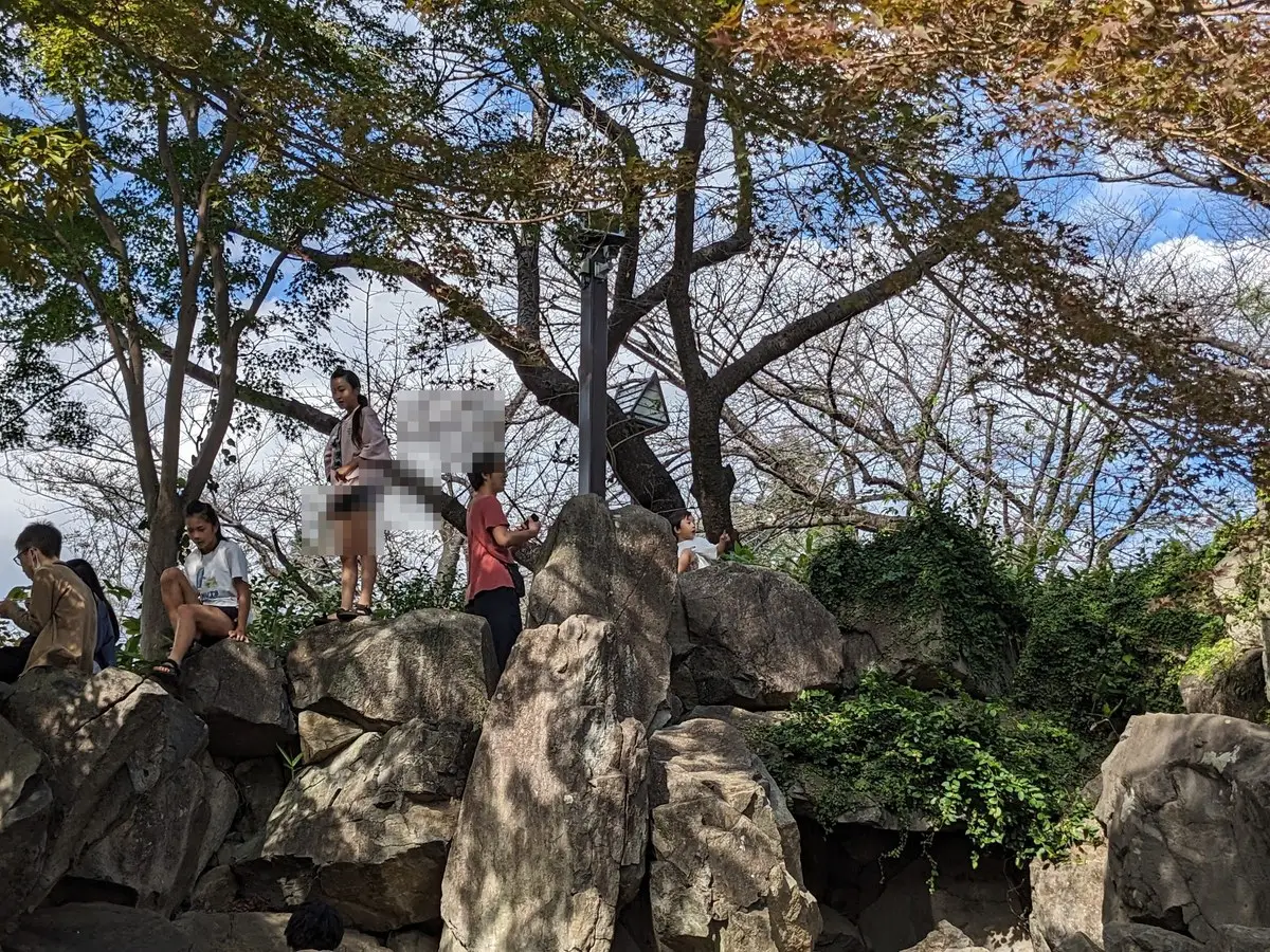 岩を積み上げた築山を子どもたちが登っている。周囲は木々に囲まれている