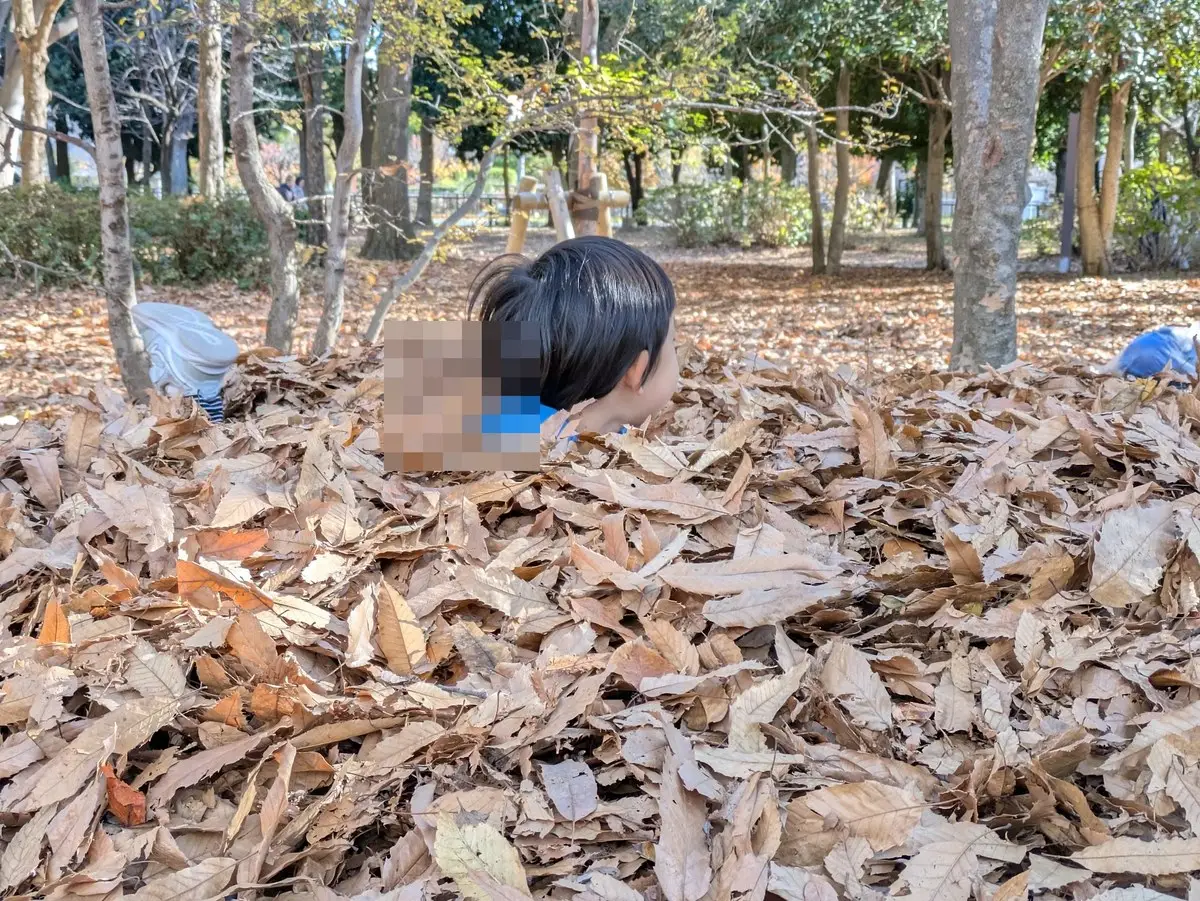 降り積もった落ち葉の山に埋もれる子どもの頭