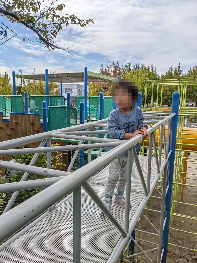 銀色のパイプでできた立体的な遊具の上に立つ子ども。奥に青と緑の複合遊具が並ぶ