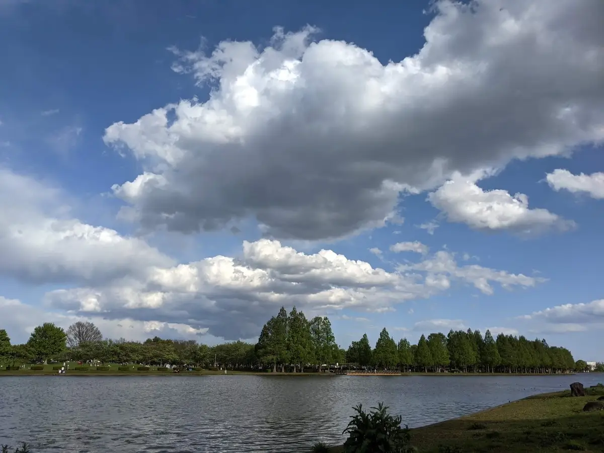 水元公園の池と対岸の林。空には大きな積雲が広がっている